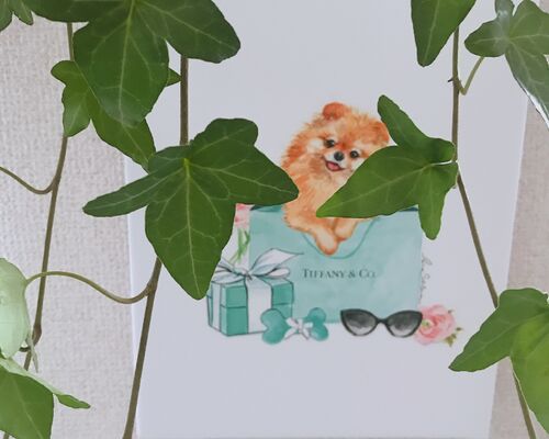 4B98D81E-6A24-4741-BA95-5196F676FB3D