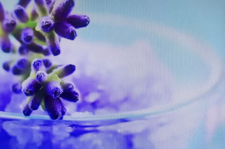 FC5BF15F-94BC-41C6-9B18-1AAF9F865B72