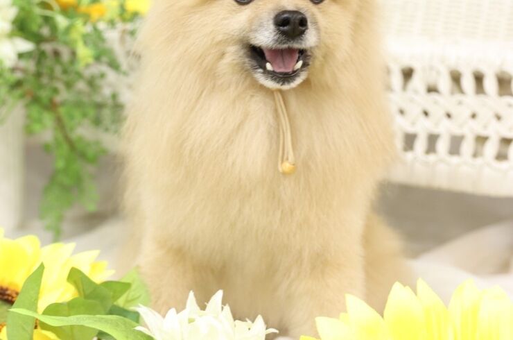 DD5BD0D2-6CA6-4F58-9D7F-2E2F0FED9DBD