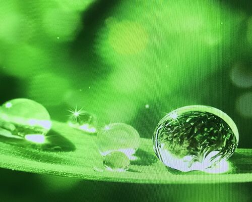 5C4B4701-6DF0-40D9-B8F0-360D7C12BAD9