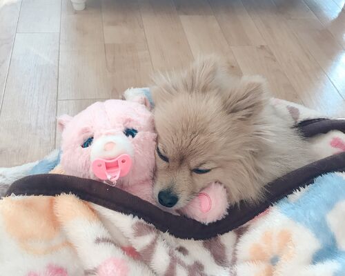 4BE4D452-6991-48F2-9059-E8BC592F3E5D