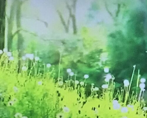 0B7A1629-0DBD-4330-9BE2-CADCC32BE6E1