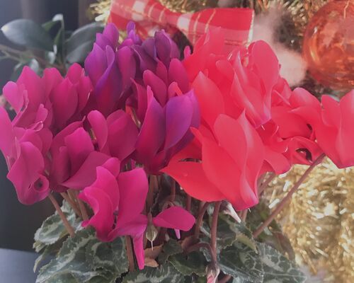 30B24E43-D08A-46E0-BDA8-C42D264A4FF5