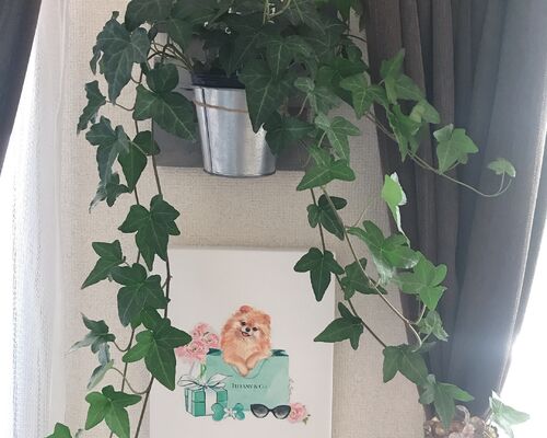 F984F626-BD65-4DF3-B493-DEEF18541AA4