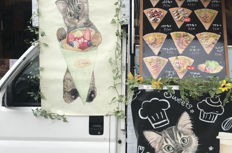 AB5D53B7-74AB-4EF2-893F-7CF264BDECD4