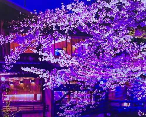 518E609D-BDC7-4254-9E5D-7947FD9CA93C